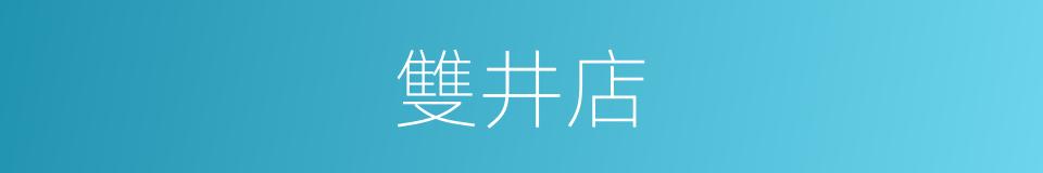 雙井店的同義詞