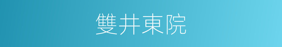 雙井東院的同義詞