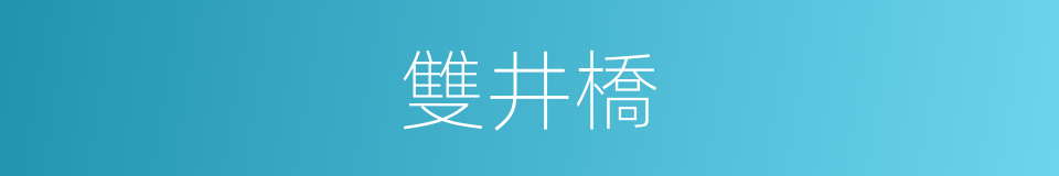 雙井橋的同義詞