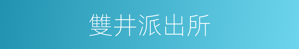 雙井派出所的同義詞