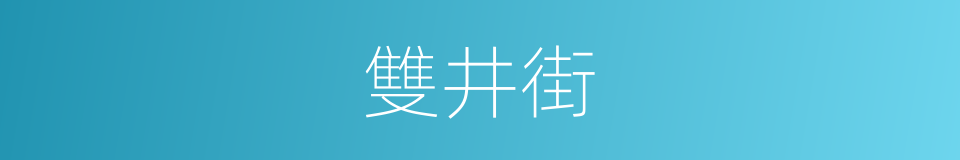 雙井街的同義詞