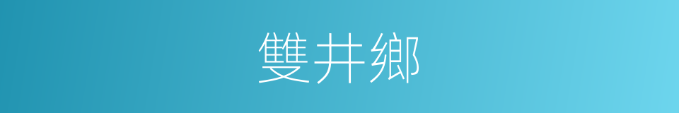 雙井鄉的同義詞