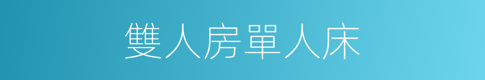 雙人房單人床的同義詞