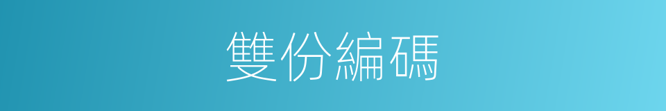 雙份編碼的同義詞