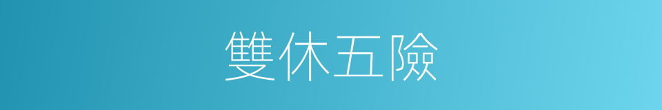 雙休五險的同義詞