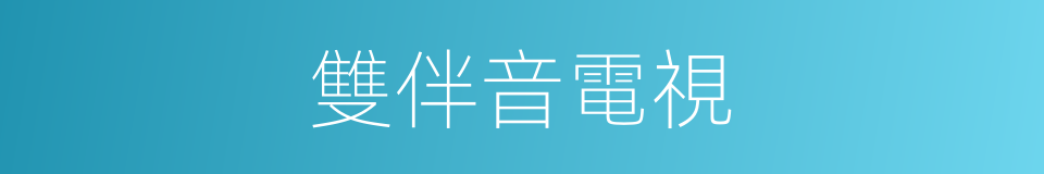 雙伴音電視的同義詞