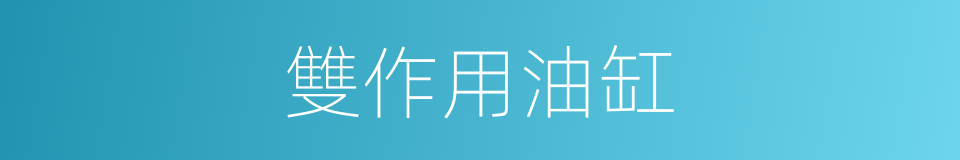 雙作用油缸的同義詞