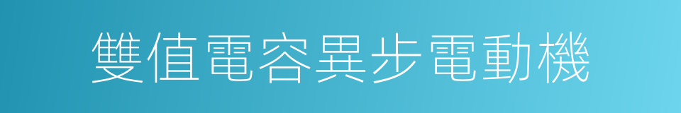 雙值電容異步電動機的同義詞