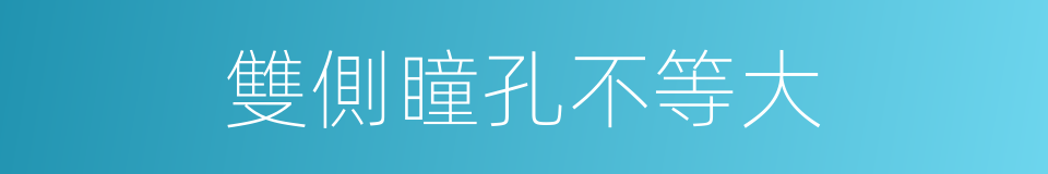 雙側瞳孔不等大的同義詞