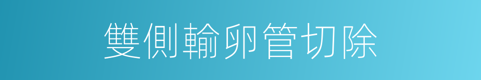 雙側輸卵管切除的同義詞