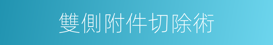 雙側附件切除術的同義詞