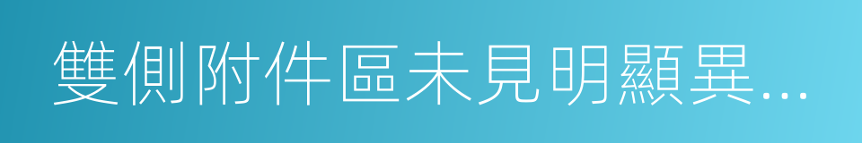雙側附件區未見明顯異常回聲的同義詞