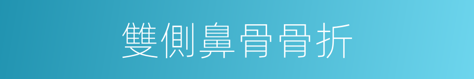 雙側鼻骨骨折的同義詞