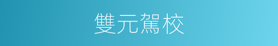雙元駕校的同義詞