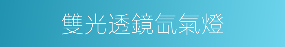 雙光透鏡氙氣燈的同義詞