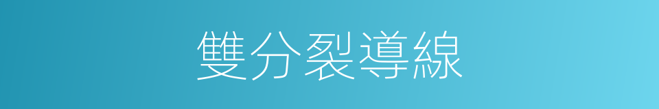 雙分裂導線的同義詞