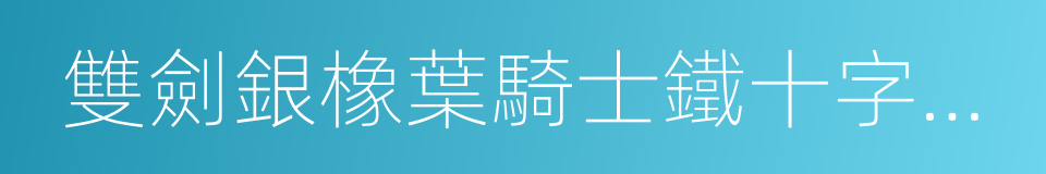 雙劍銀橡葉騎士鐵十字勳章的同義詞