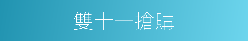 雙十一搶購的同義詞