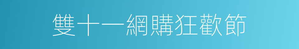 雙十一網購狂歡節的同義詞