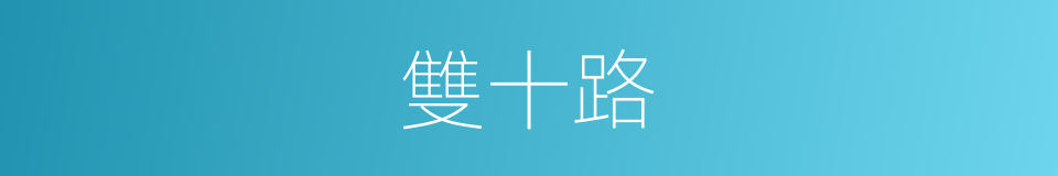 雙十路的同義詞