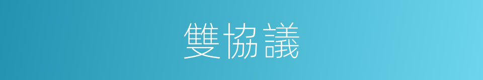 雙協議的同義詞