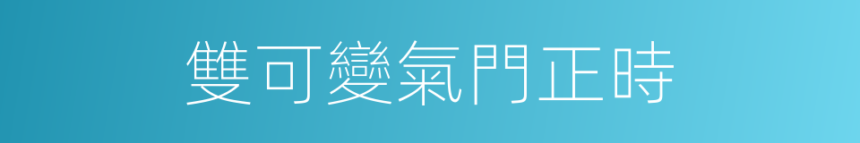 雙可變氣門正時的同義詞