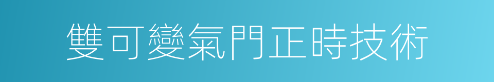 雙可變氣門正時技術的同義詞