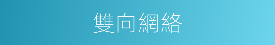 雙向網絡的同義詞