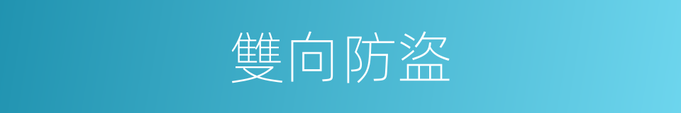 雙向防盜的同義詞