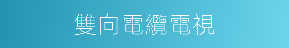 雙向電纜電視的同義詞