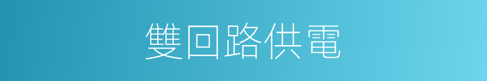 雙回路供電的同義詞