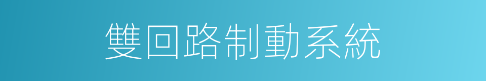 雙回路制動系統的同義詞