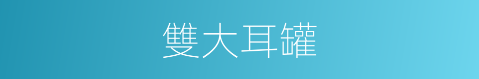 雙大耳罐的同義詞