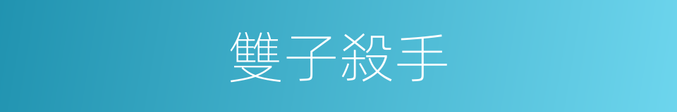 雙子殺手的同義詞