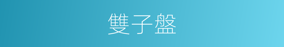 雙子盤的同義詞