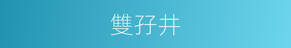 雙孖井的同義詞