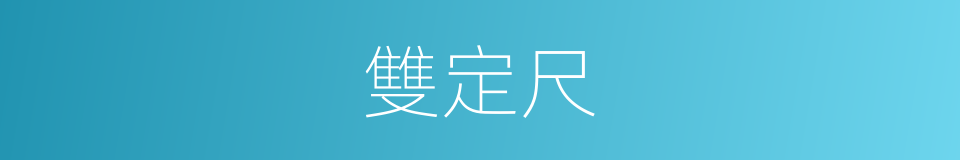 雙定尺的同義詞