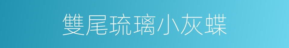 雙尾琉璃小灰蝶的同義詞