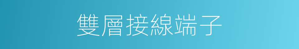 雙層接線端子的同義詞