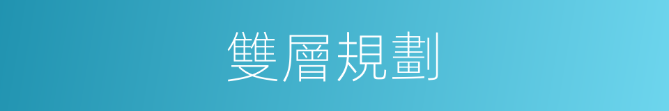 雙層規劃的同義詞