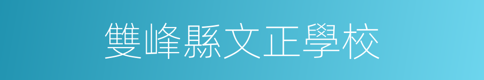 雙峰縣文正學校的同義詞