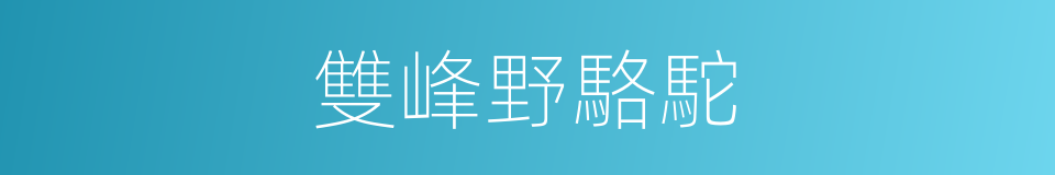 雙峰野駱駝的同義詞