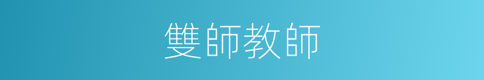 雙師教師的同義詞
