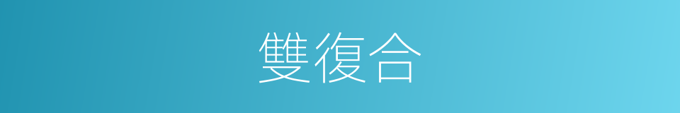 雙復合的同義詞