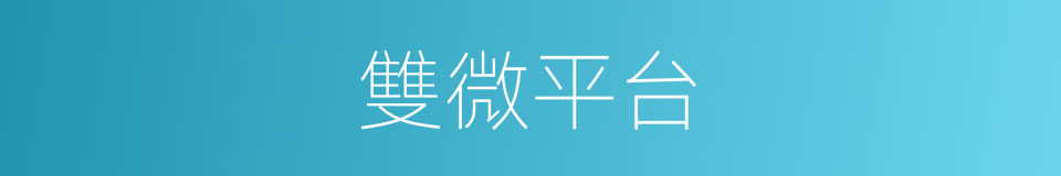 雙微平台的同義詞