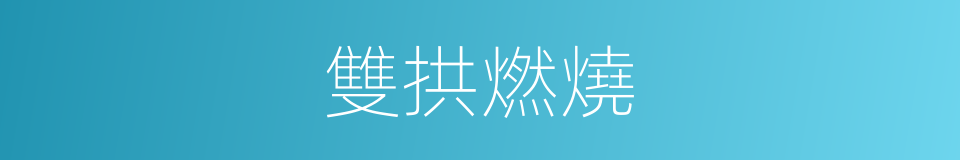 雙拱燃燒的同義詞