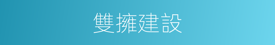 雙擁建設的同義詞