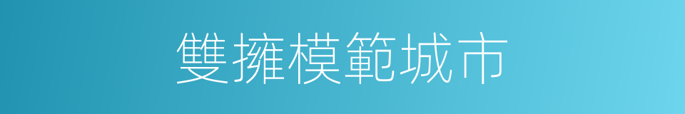雙擁模範城市的同義詞