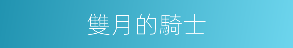 雙月的騎士的同義詞