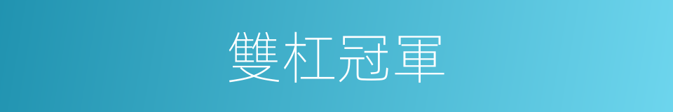 雙杠冠軍的同義詞